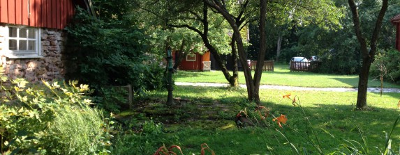 Blick in den Hinterhof