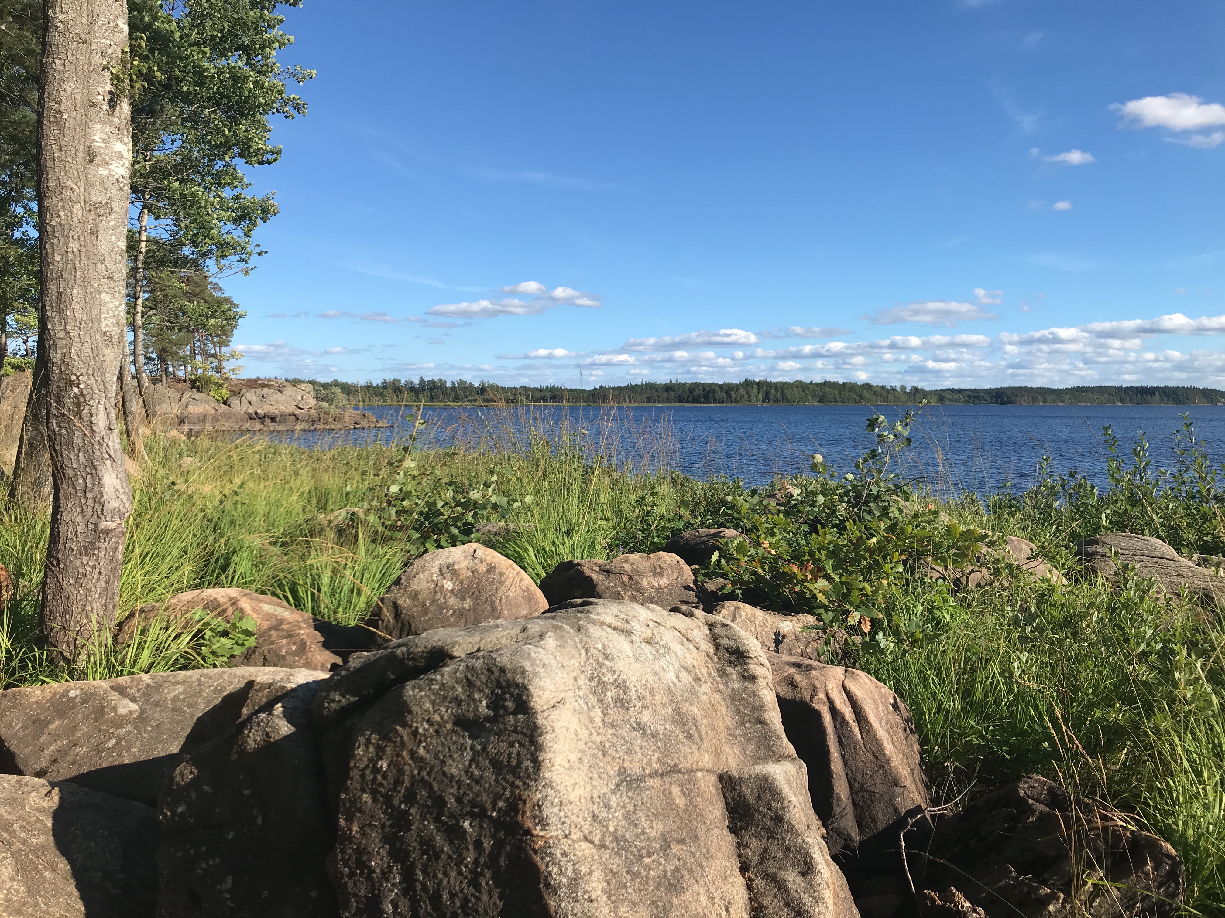Kalvsjö
