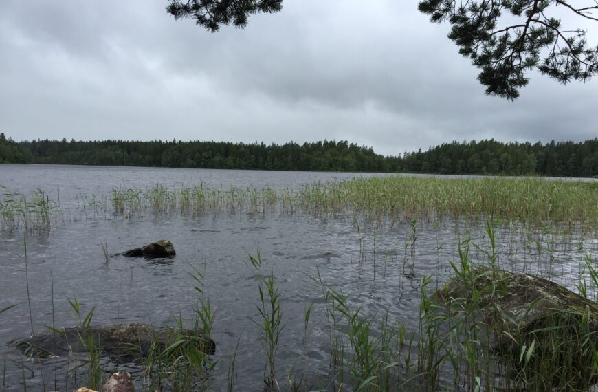 Tag 3 – Vildmarkscamping im Regen